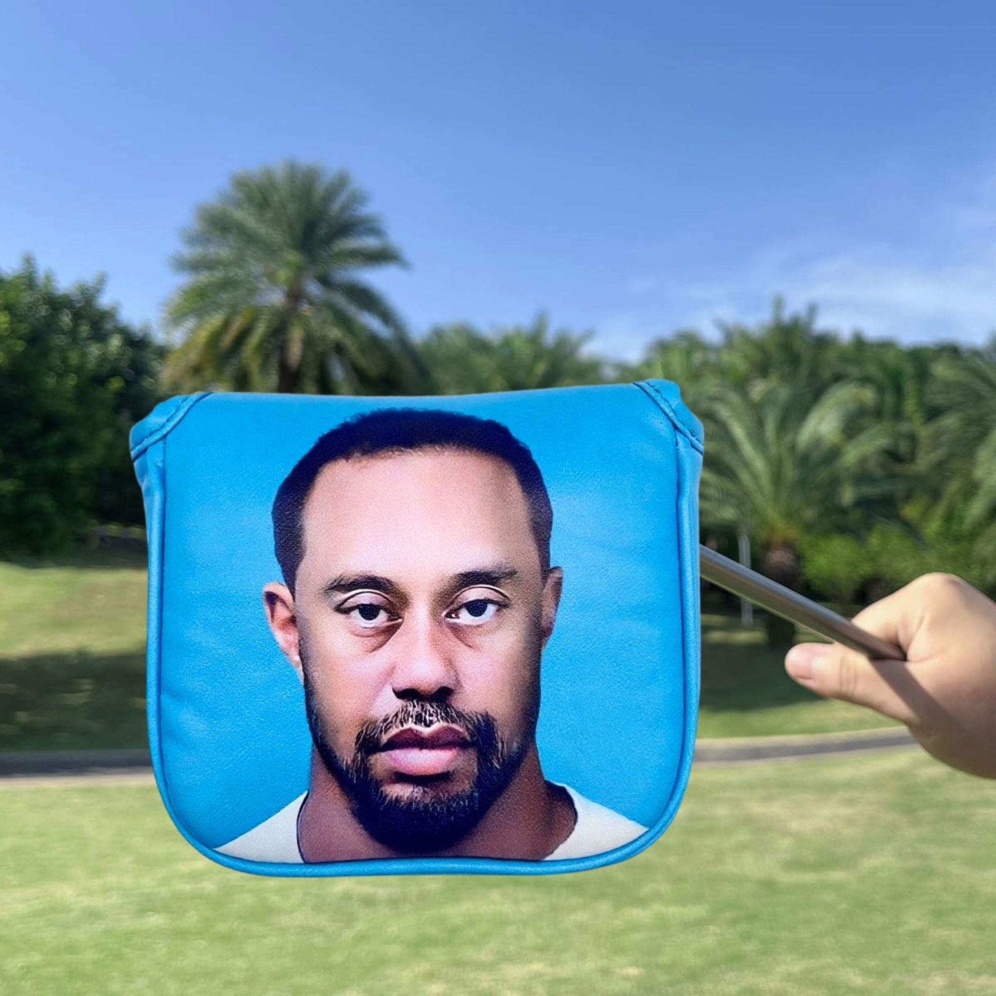 Funny Golf Mallet Putter Head  - огляд і ціна Men'S Accessories Golf